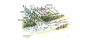 Stratford Industrial Park Structure Plan Gloucester Shire, New South Wales (2009)