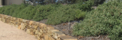 Byambee Rises Estate (2008)