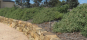 Byambee Rises Estate (2008)