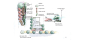 Stratford Industrial Park Structure Plan Gloucester Shire, New South Wales (2009)