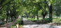 City of Greater Bendigo Commercial Land Strategy Review (2009)