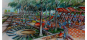 Design Concepts for Playground Development at Arndell Estate, Truganina (2009)
