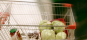 Economic Impact Assessment for a Proposed Supermarket - Cranbourne North (2010)